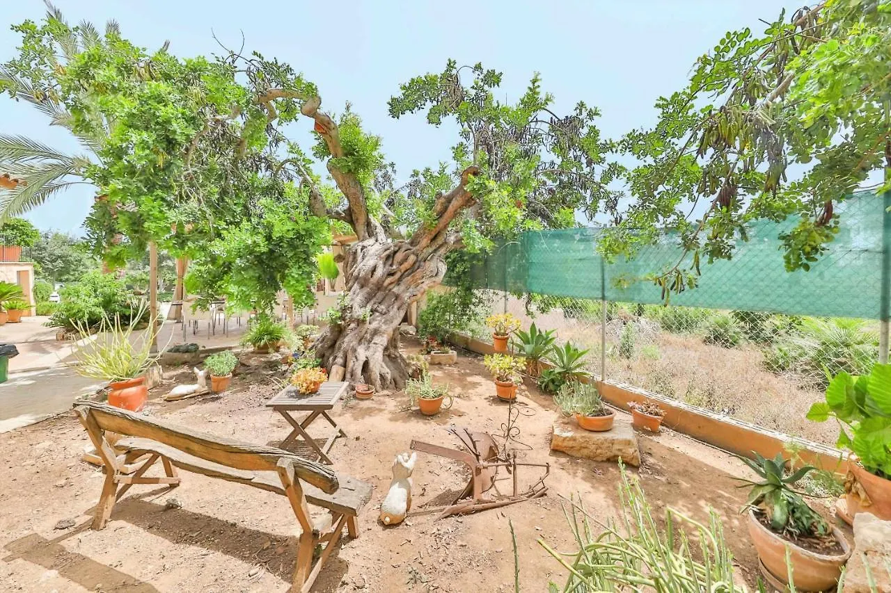 Can Trobat - Gran Villa Mallorquina Con Piscina S'Horta